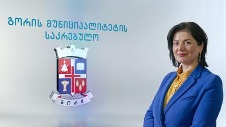 ანი ბალიაშვილი 